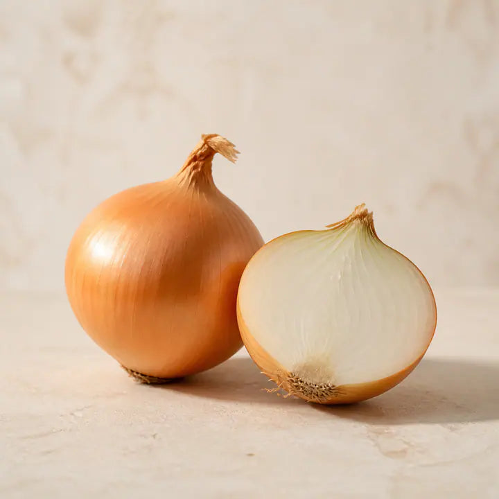 Zwiebel