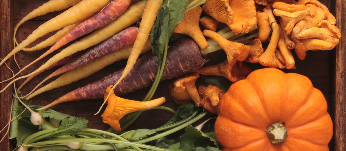 Herbstliche Ernährung: Die besten saisonalen Lebensmittel für dein Wohlbefinden an kalten Tagen