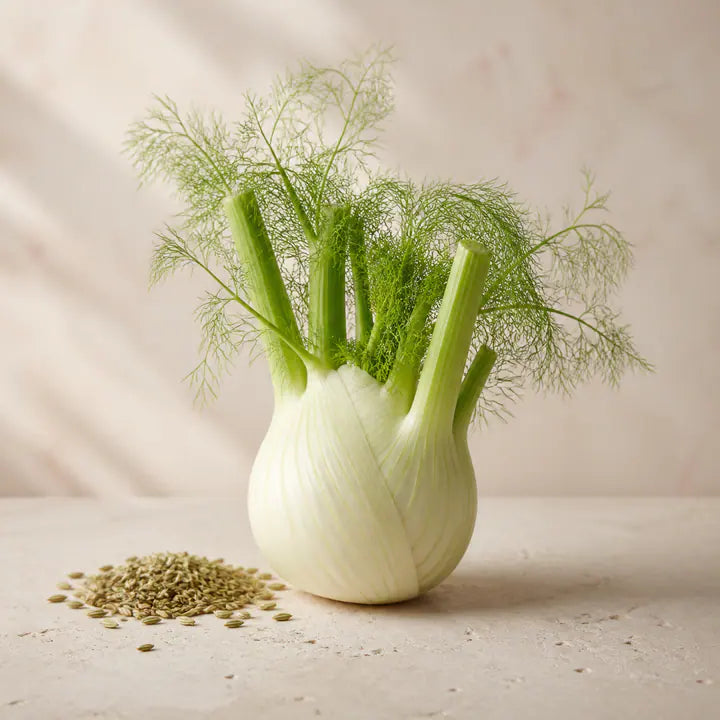 Fenchel