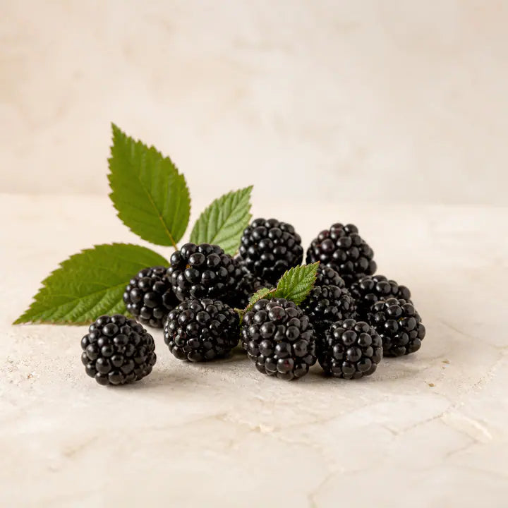 Brombeere