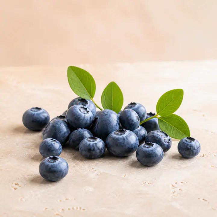 Blaubeere