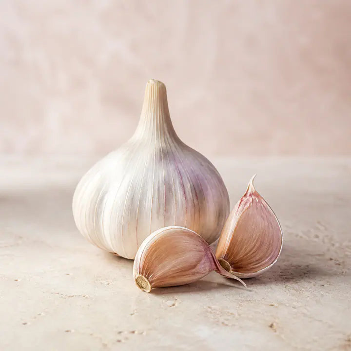 Knoblauch